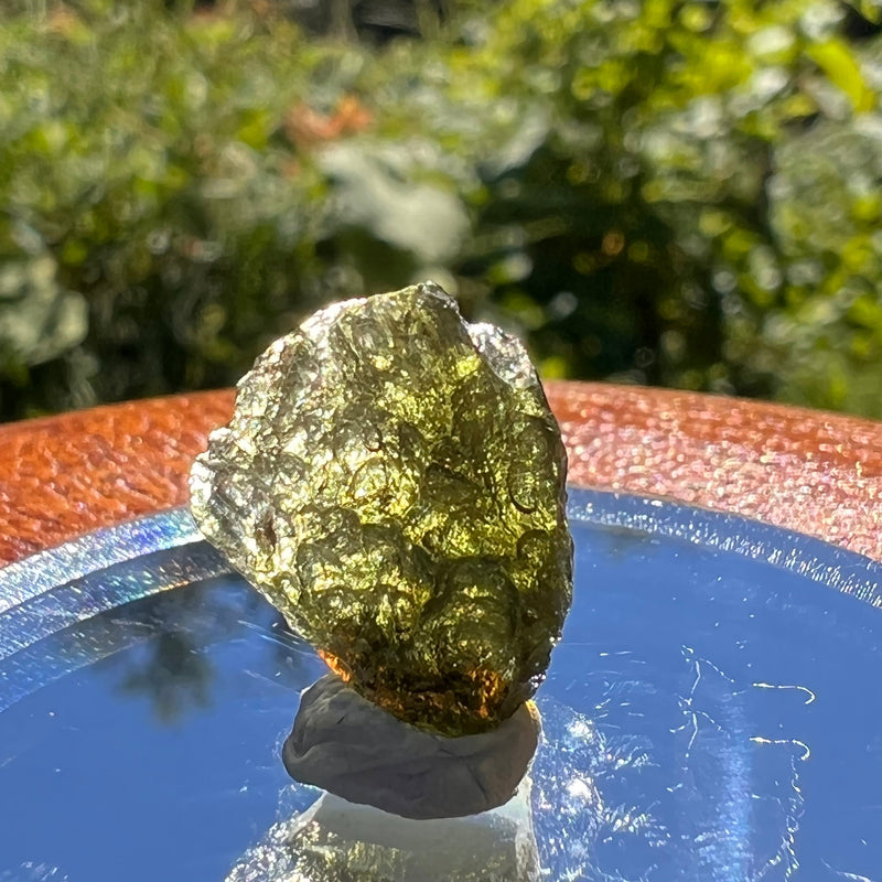 Moldavite 1 gram #1555-Moldavite Life