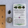 Moldavite 1 gram #1560-Moldavite Life