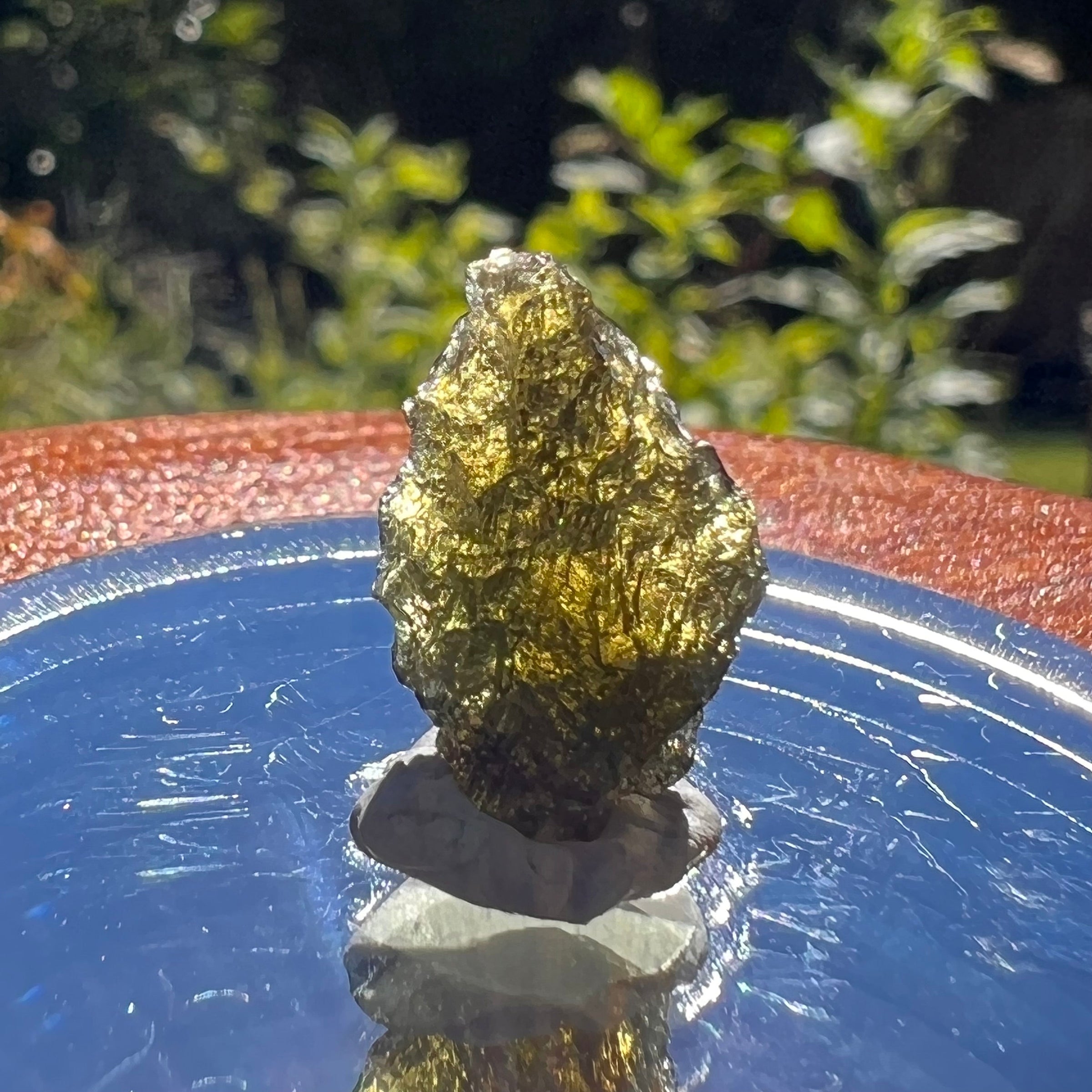 Moldavite 1 gram #1560-Moldavite Life