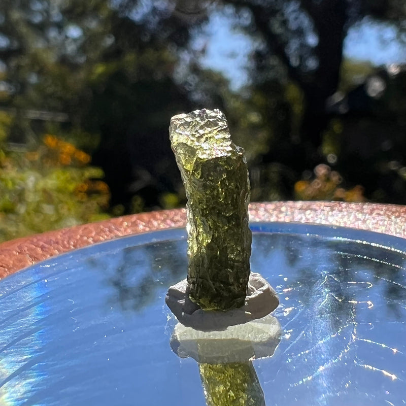 Moldavite 1 gram #1584-Moldavite Life