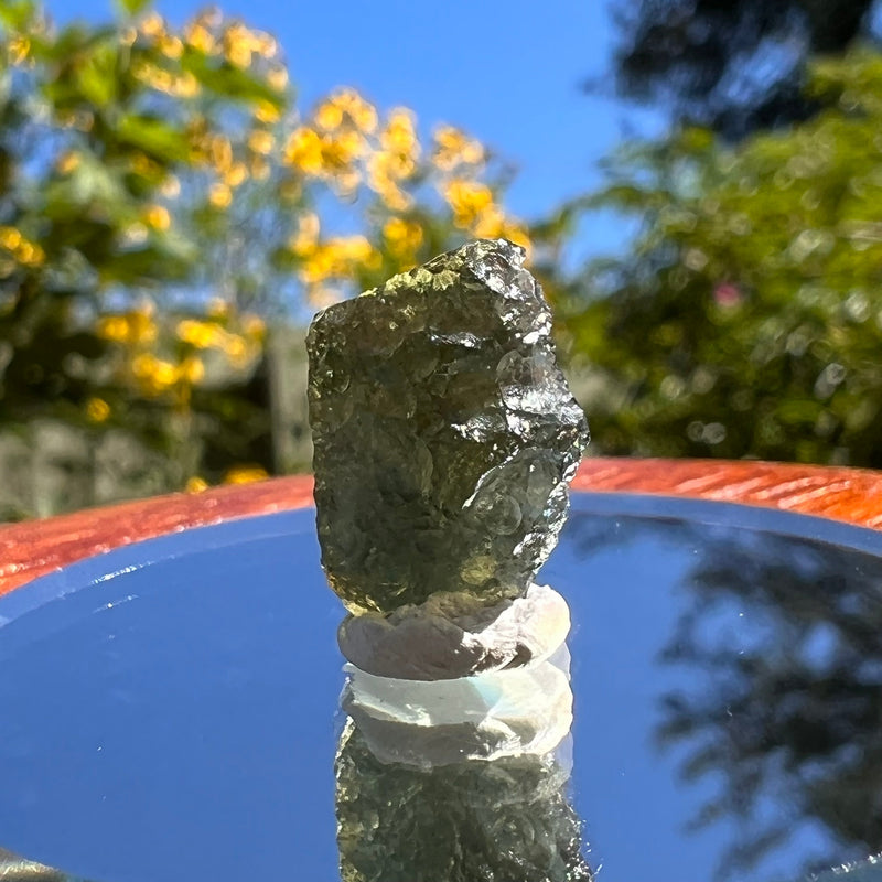 Moldavite 1 gram #1584-Moldavite Life