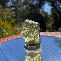 Moldavite 1 gram #1584-Moldavite Life