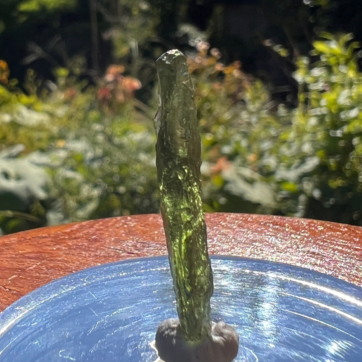 Moldavite 1 gram #1603-Moldavite Life