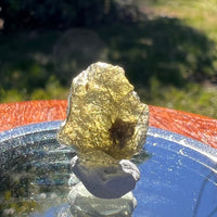 Moldavite 1 gram #1624-Moldavite Life