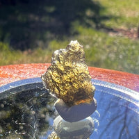 Moldavite 1 gram #1636-Moldavite Life