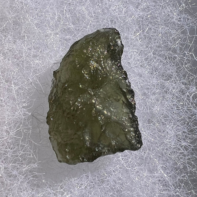 Moldavite 1 gram #1640-Moldavite Life