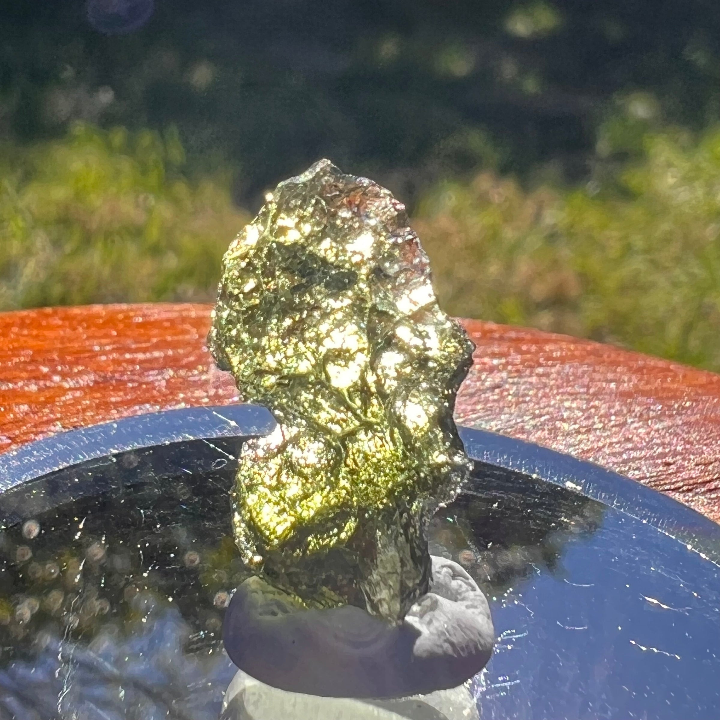 Moldavite 1 gram #1642-Moldavite Life