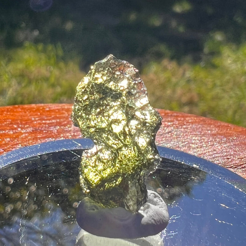 Moldavite 1 gram #1642-Moldavite Life