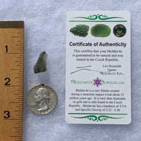 Moldavite 1.36 grams M1369-Moldavite Life