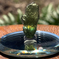 Moldavite 1.5 grams M1370-Moldavite Life