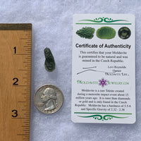 Moldavite 1.5 grams M1370-Moldavite Life