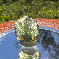 Moldavite 1.1 grams #1454-Moldavite Life