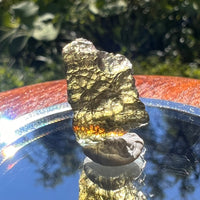 Moldavite 1.1 grams #1482-Moldavite Life