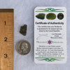Moldavite 1.1 grams #1482-Moldavite Life