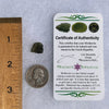 Moldavite 1.1 grams #1503-Moldavite Life