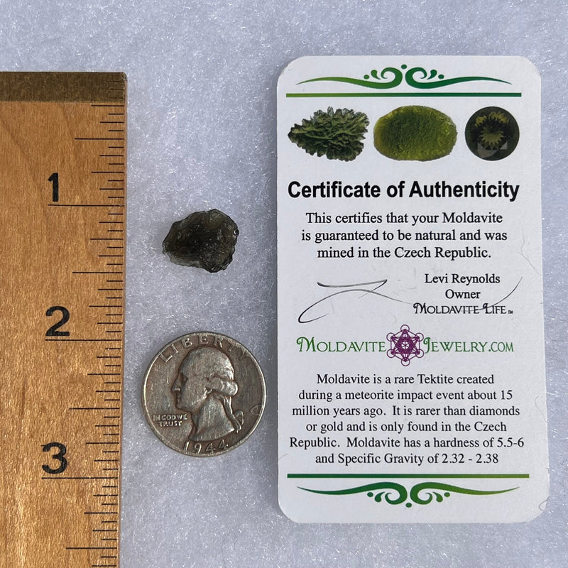 Moldavite 1.1 grams #1525-Moldavite Life