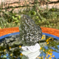 Moldavite 1.1 grams #1528-Moldavite Life