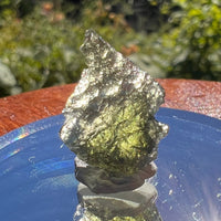 Moldavite 1.1 grams #1538-Moldavite Life
