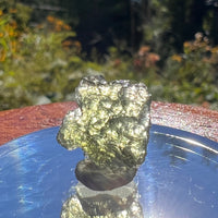 Moldavite 1.1 grams #1580-Moldavite Life