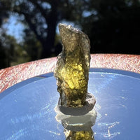 Moldavite 1.1 grams #1592-Moldavite Life