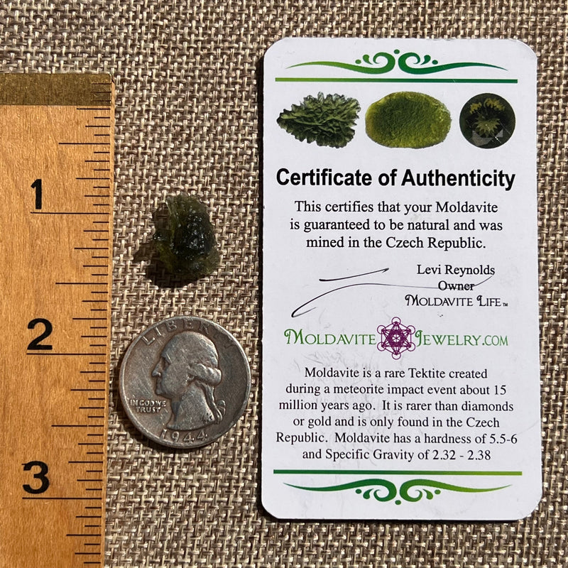 Moldavite 1.1 grams #1625-Moldavite Life