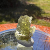 Moldavite 1.1 grams #1625-Moldavite Life