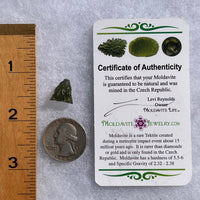 Moldavite 1.1 grams #1637-Moldavite Life