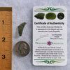 Moldavite 1.1 grams #1644-Moldavite Life