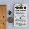 Moldavite 1.2 grams #1453-Moldavite Life