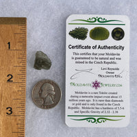 Moldavite 1.2 grams #1461-Moldavite Life