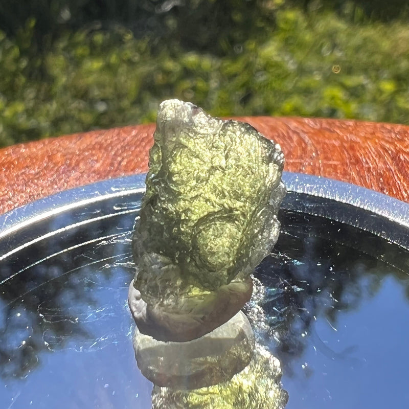 Moldavite 1.2 grams #1464-Moldavite Life