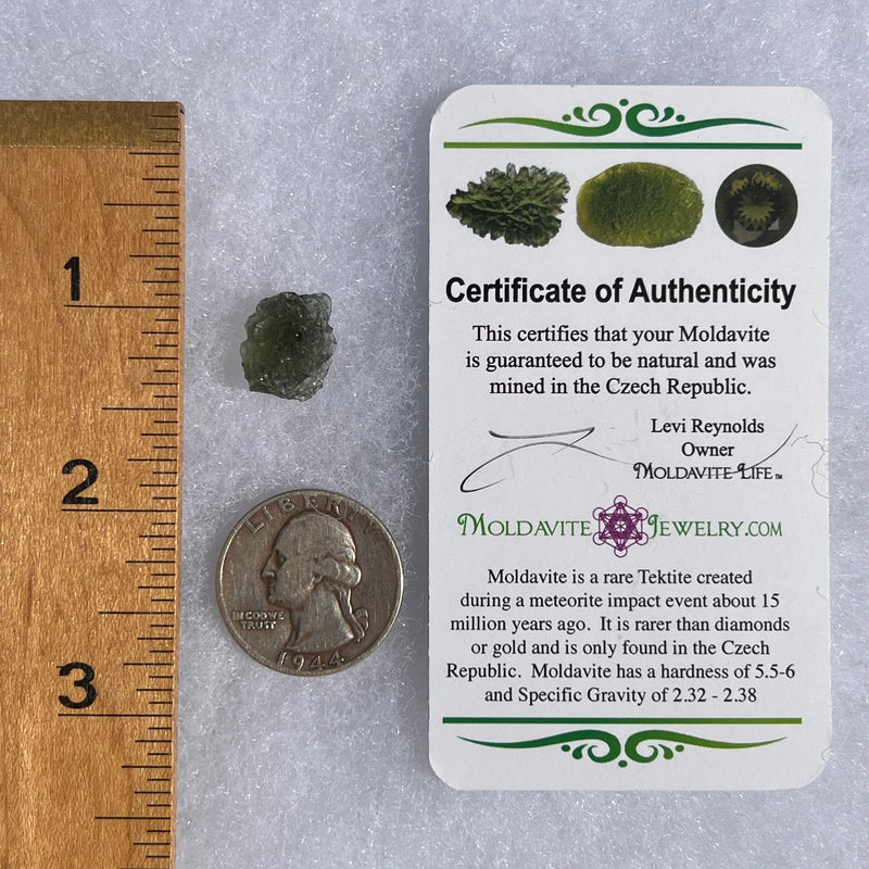 Moldavite 1.2 grams #1464-Moldavite Life