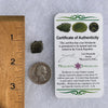 Moldavite 1.2 grams #1465-Moldavite Life