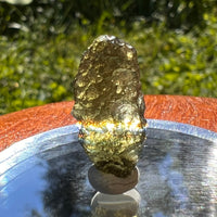 Moldavite 1.2 grams #1476-Moldavite Life