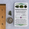 Moldavite 1.2 grams #1481-Moldavite Life