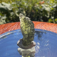 Moldavite 1.2 grams #1519-Moldavite Life