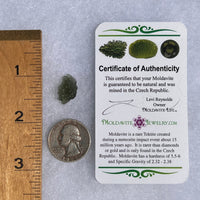 Moldavite 1.2 grams #1519-Moldavite Life