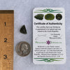 Moldavite 1.2 grams #1522-Moldavite Life