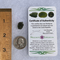 Moldavite 1.2 grams #1529-Moldavite Life