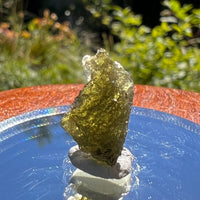 Moldavite 1.2 grams #1562-Moldavite Life