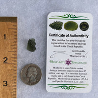 Moldavite 1.2 grams #1570-Moldavite Life