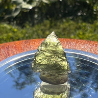 Moldavite 1.2 grams #1571-Moldavite Life