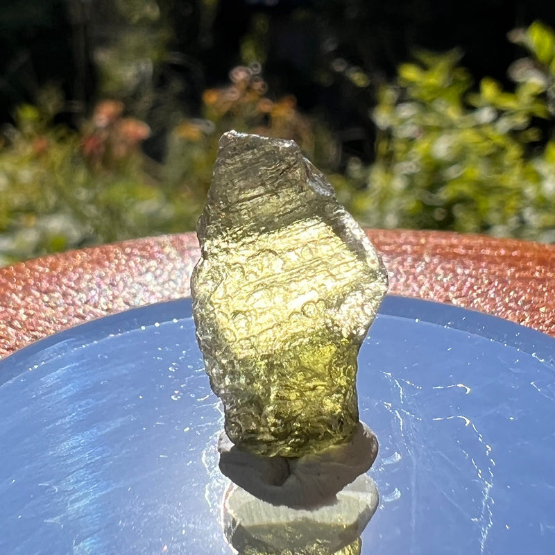 Moldavite 1.2 grams #1583-Moldavite Life