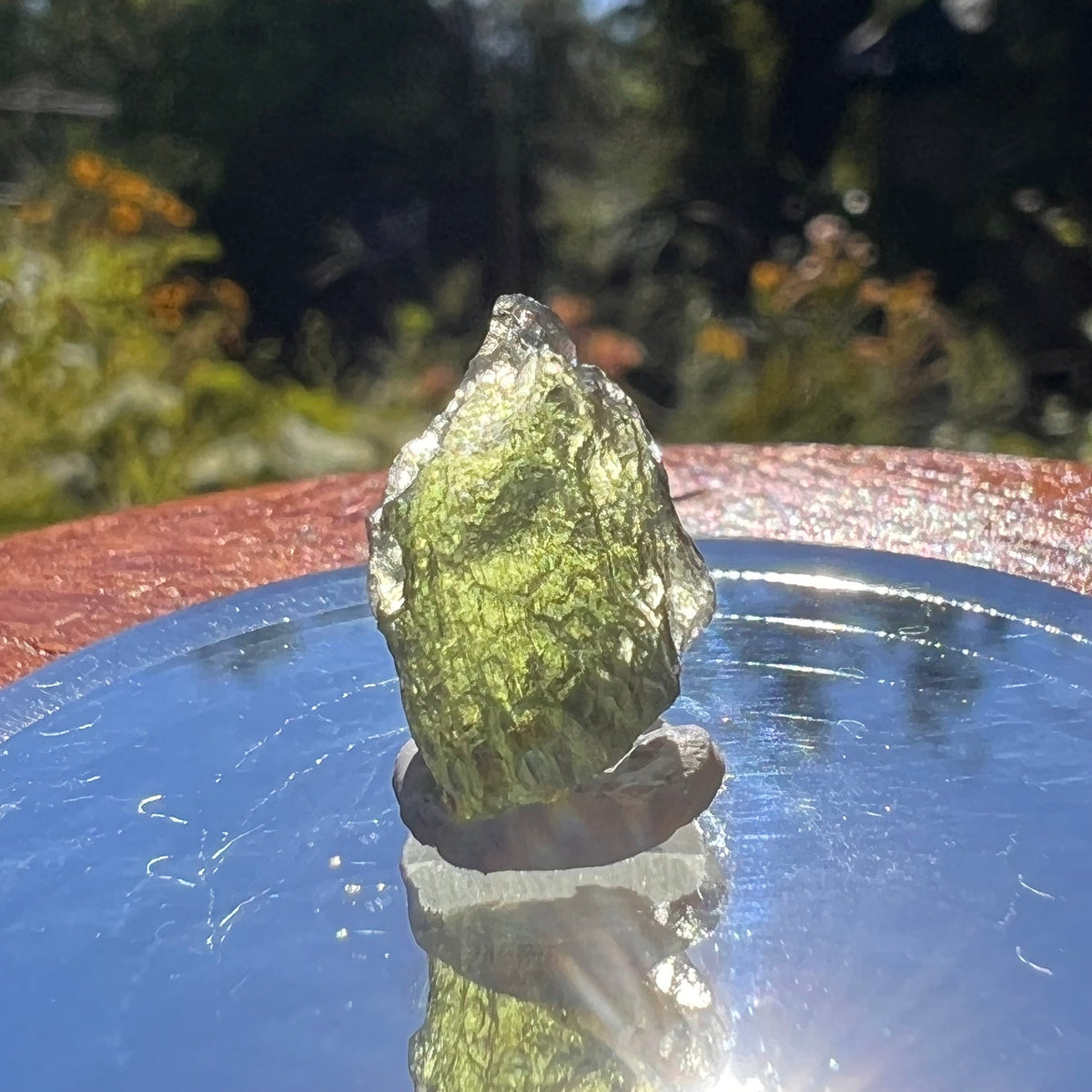 Moldavite 1.2 grams #1586-Moldavite Life