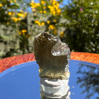 Moldavite 1.2 grams #1594-Moldavite Life
