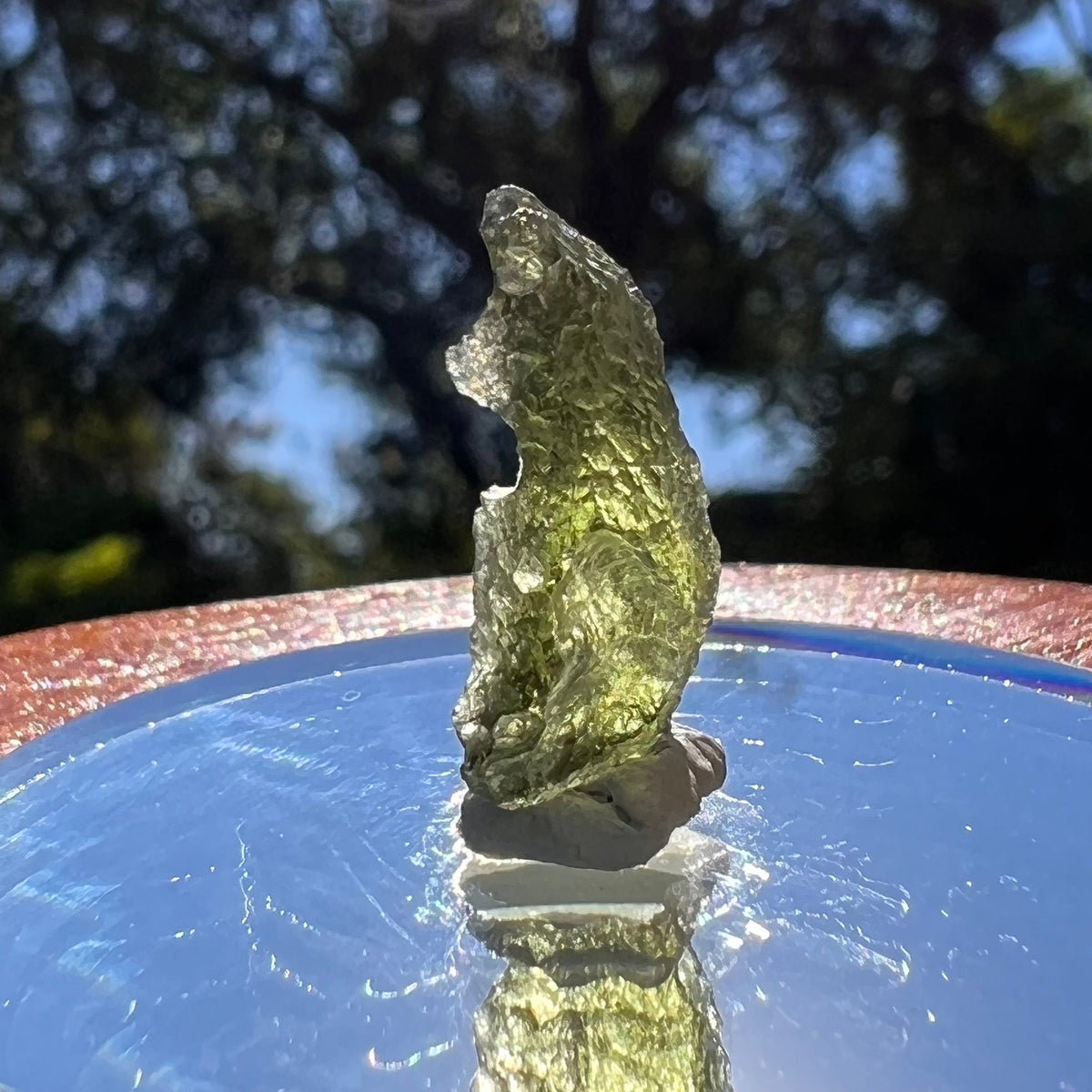 Moldavite 1.2 grams #1595-Moldavite Life