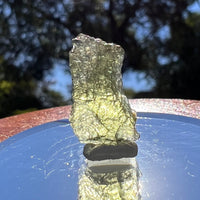 Moldavite 1.2 grams #1595-Moldavite Life
