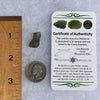 Moldavite 1.2 grams #1595-Moldavite Life