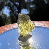 Moldavite 1.2 grams #1596-Moldavite Life