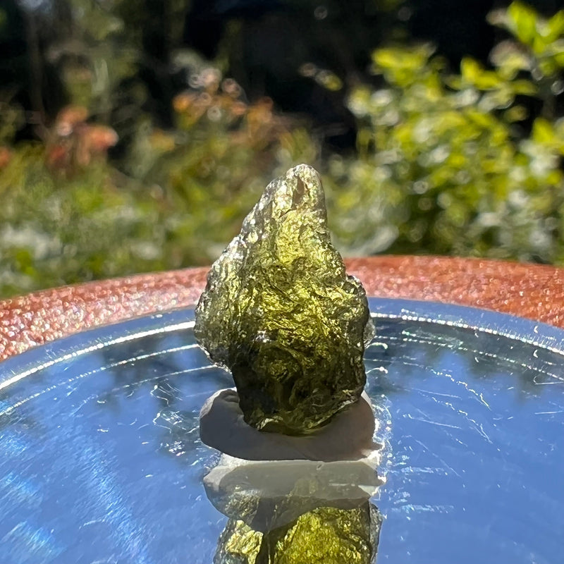 Moldavite 1.2 grams #1601-Moldavite Life